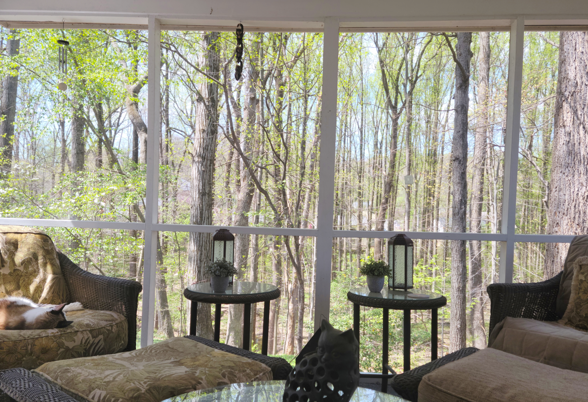 Spring on Porch